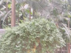 -龙达温泉生态城