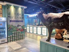 -五星桥原切肥牛火锅(怀德桥店)