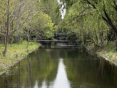 -上海滨江森林公园