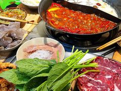 -阳阳老火锅(小南门店)