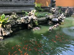 -普陀山风景名胜区-法雨禅寺