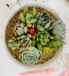 -喜悦月子中心