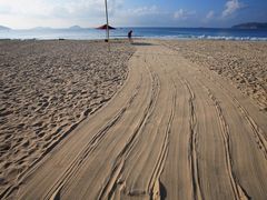 调整大小-三亚亚龙湾凯莱仙人掌度假酒店