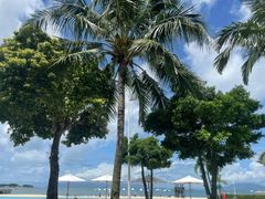 -惠州金海湾嘉华度假酒店