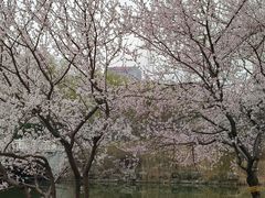 -河北省园博园