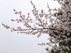 -金隅凤山酒店
