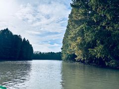 -上海海湾国家森林公园