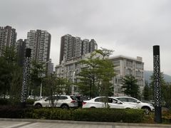 -深圳大学总医院