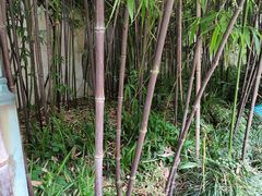 -杭州黄龙洞
