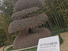 -苏州河梦清园环保主题公园