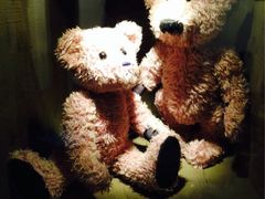 iphone_upload_pic-济州岛泰迪熊博物馆