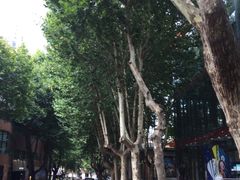 -西安电影制片厂