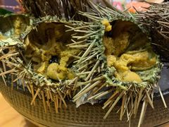 新鲜海胆-割烹旭日本料理(龙湖狮山天街店)