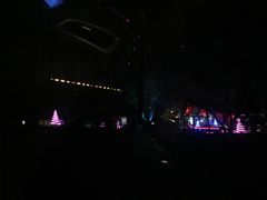 -枫花园汽车电影院(朝阳公园店)