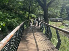 -白水寺森林公园