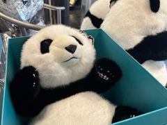 -熊猫屋(宽窄巷子景区店)