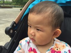 -洪湖家庭农场·团建·露营·会议