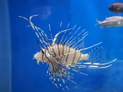 -福州罗源湾海洋世界旅游区