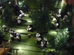 -成都泰迪熊博物馆