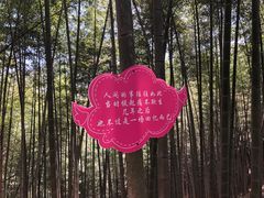 -宁波浙东大竹海景区