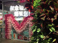 -一笼小幸运