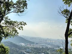 -惠山国家森林公园