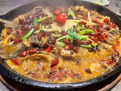 -老板恋上鱼(恒隆广场店)