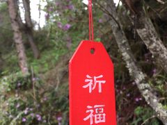 -硗碛藏寨·神木垒景区