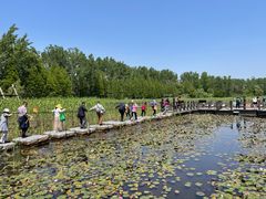 -溱湖国家湿地公园