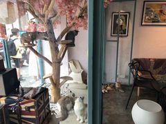 -喵屿·大理花园猫咖