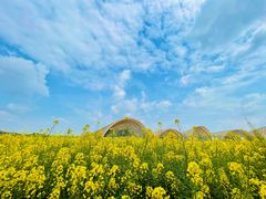 -中国天府农业博览园