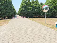 -秦始皇帝陵博物院-丽山园