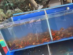 -羊家胡同·龙虾烧烤火锅(龙汇路店)