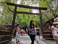 -野宫神社