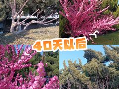 -大连人民广场