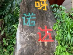 -呀诺达热带雨林