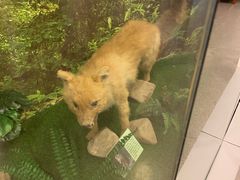 -下渚湖国家湿地公园科普馆