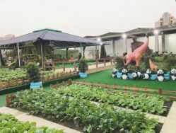 -可可天空农场(中大店)