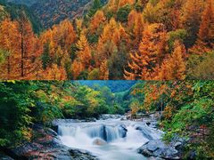 -秦岭风景区