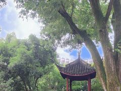 -上海醉白池公园