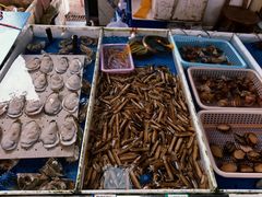 -南沙十九涌渔人码头-南门