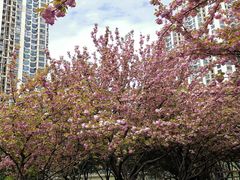 -苏州河梦清园环保主题公园