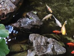 -道南書院·私房菜·早午茶·茶馆