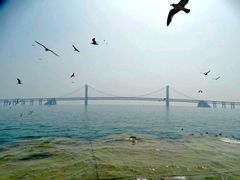 -星海湾跨海大桥