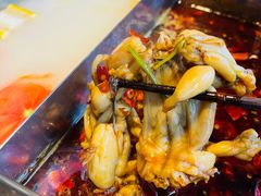 -渝蛙先生领鲜美蛙老火锅