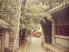 -老张烤羊(王哥庄店)