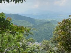 -梧桐山风景名胜区