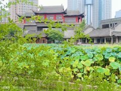 -龙潭水乡