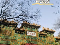 -国家植物园