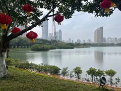 -万绿园